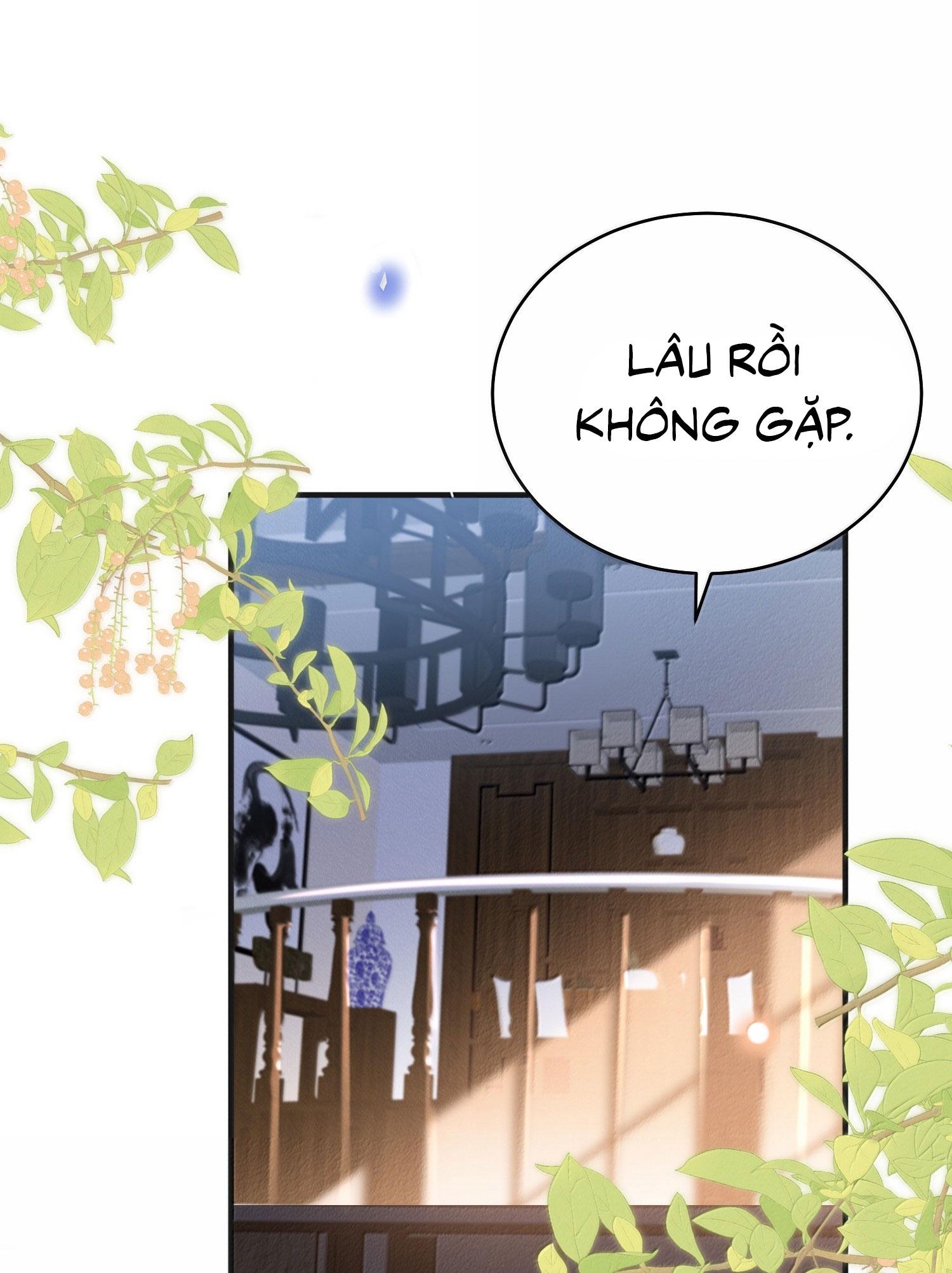 Đọc truyện Lai sinh bất kiến - Chapter 141