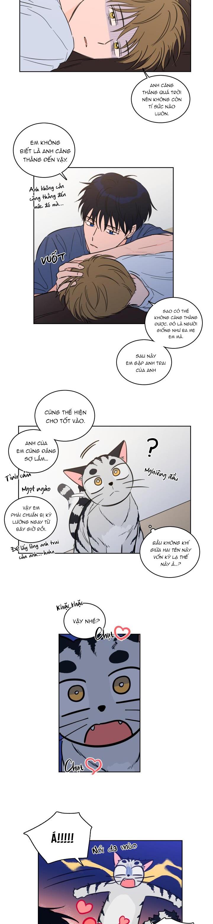 Đọc truyện Mẹo Thuần Hóa Hổ - Chapter 43