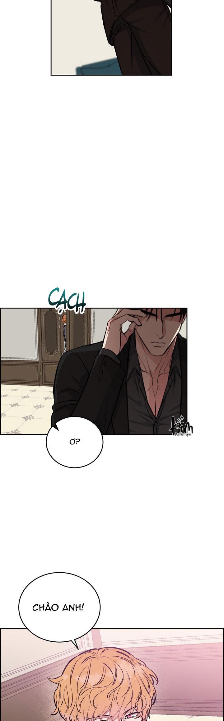 Đọc truyện CHÓ VÀ CHIM - Chapter 36