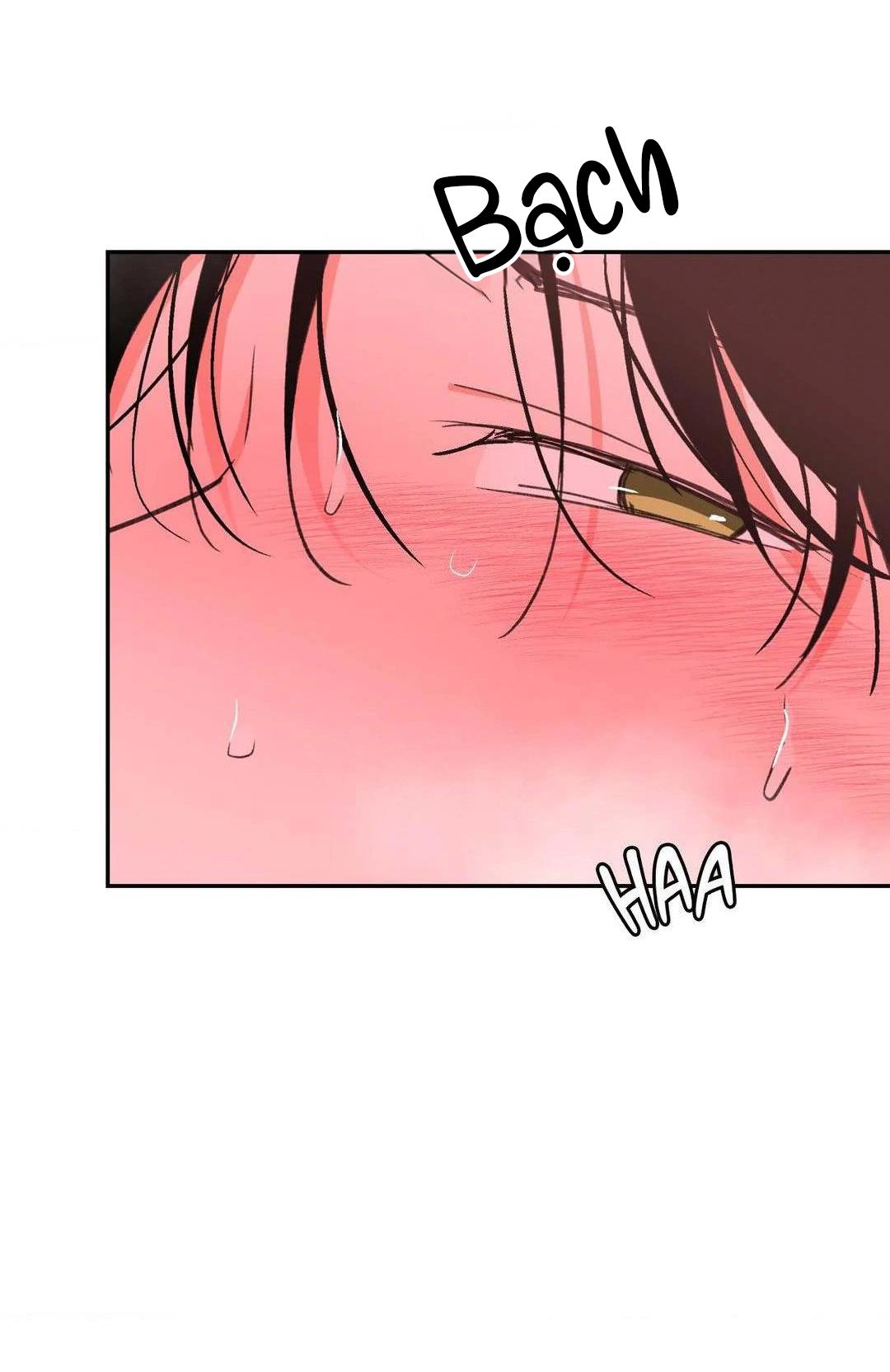 Đọc truyện Chiếc Lá Lay Động Theo Giai Điệu - Chapter 13