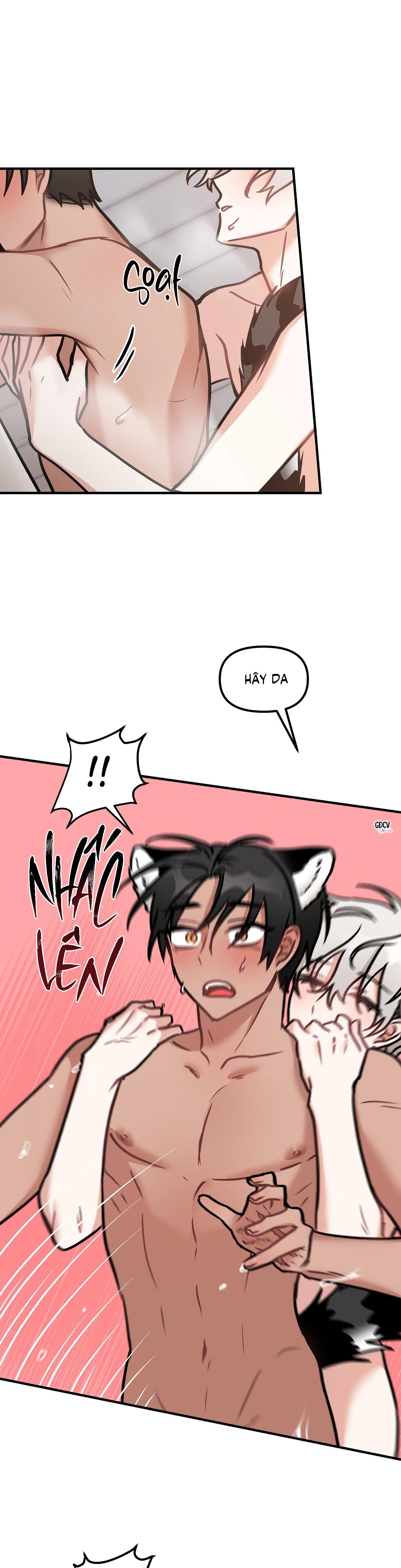 Đọc truyện THƯA NGÀI HỔ, TÔI ĐÃ ĂN RẤT NGON MIỆNG - Chapter 19