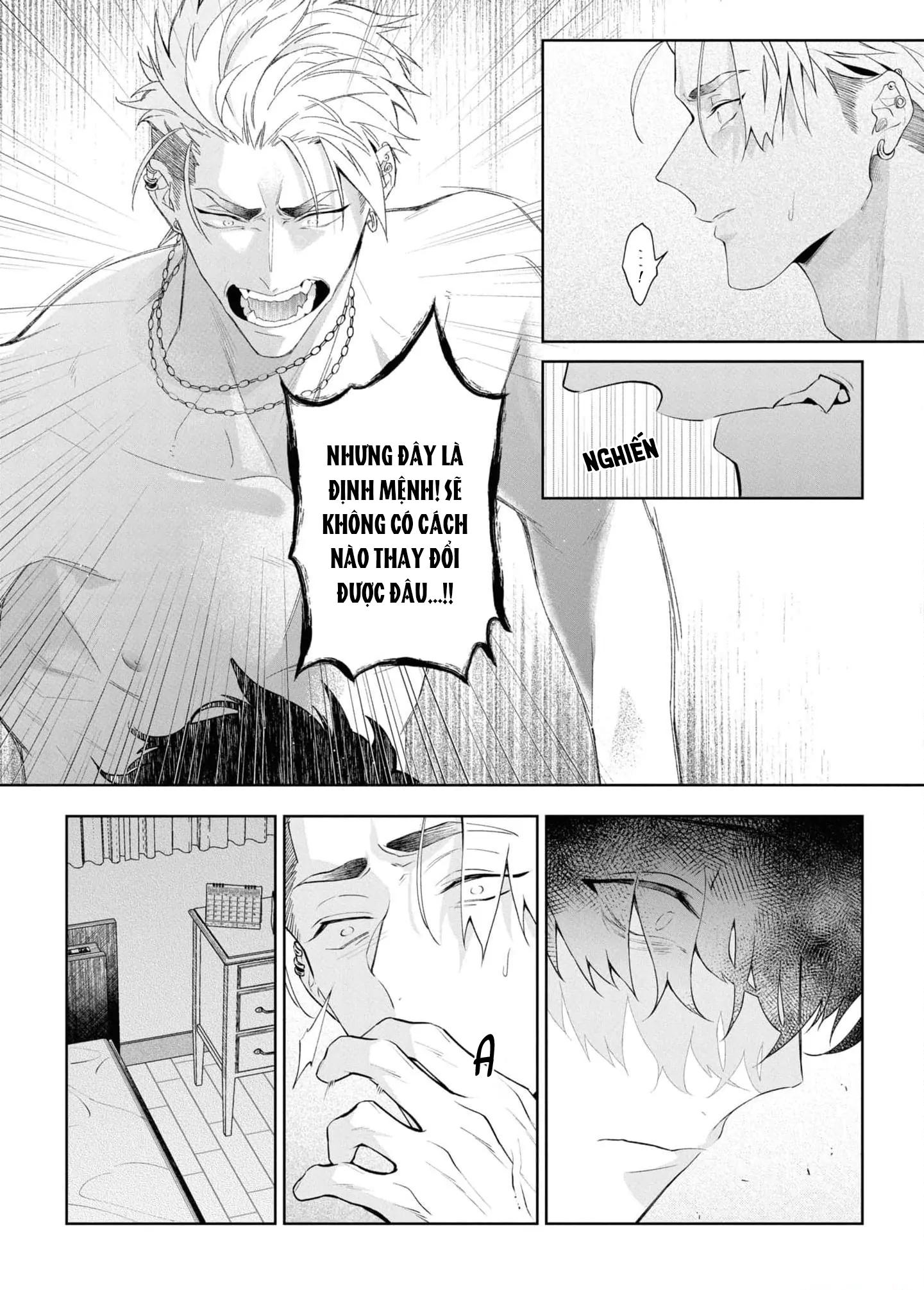 Đọc truyện Phương thuốc tình yêu - Chapter 4