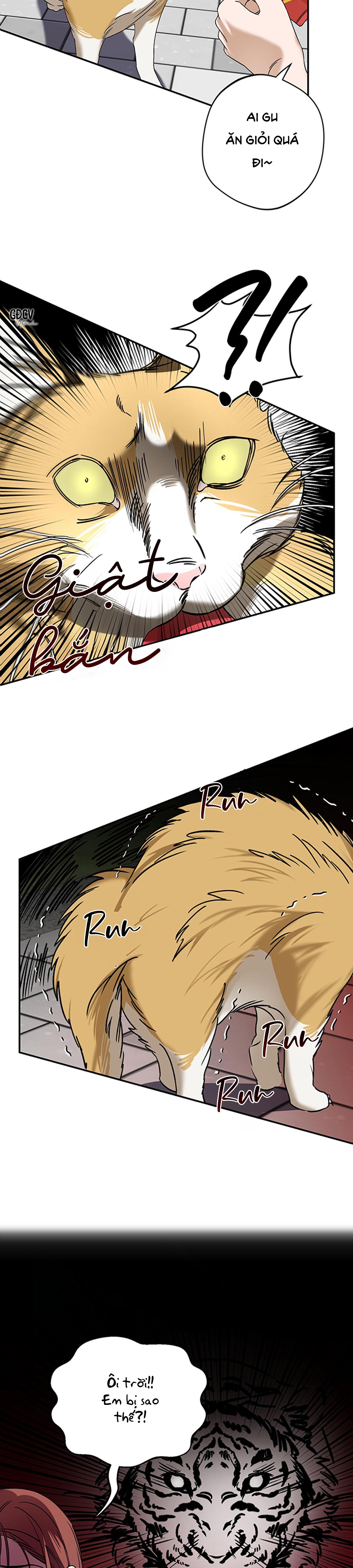 Đọc truyện VỊ THẦN TỘI LỖI - Chapter 1