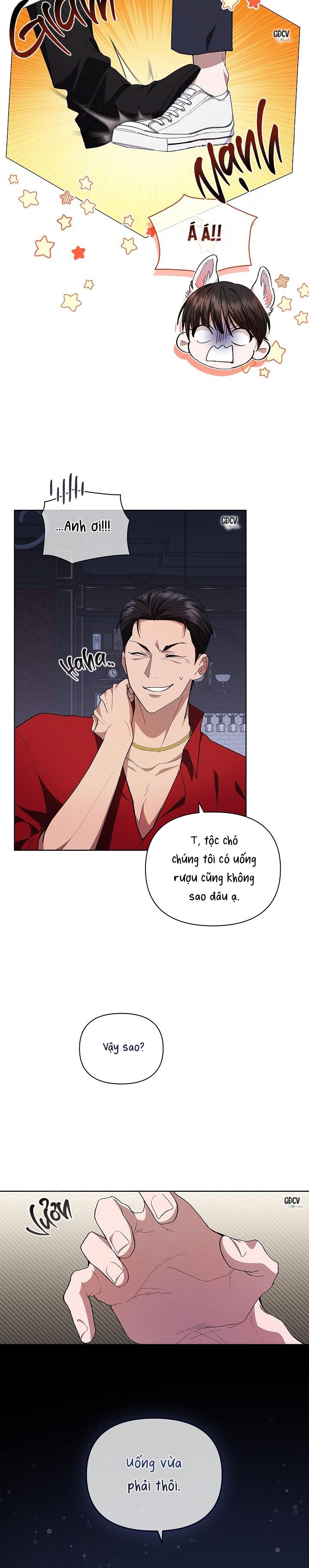 Đọc truyện ĐỪNG CHẠM VÀO CÚN CON CỦA TÔI - Chapter 1