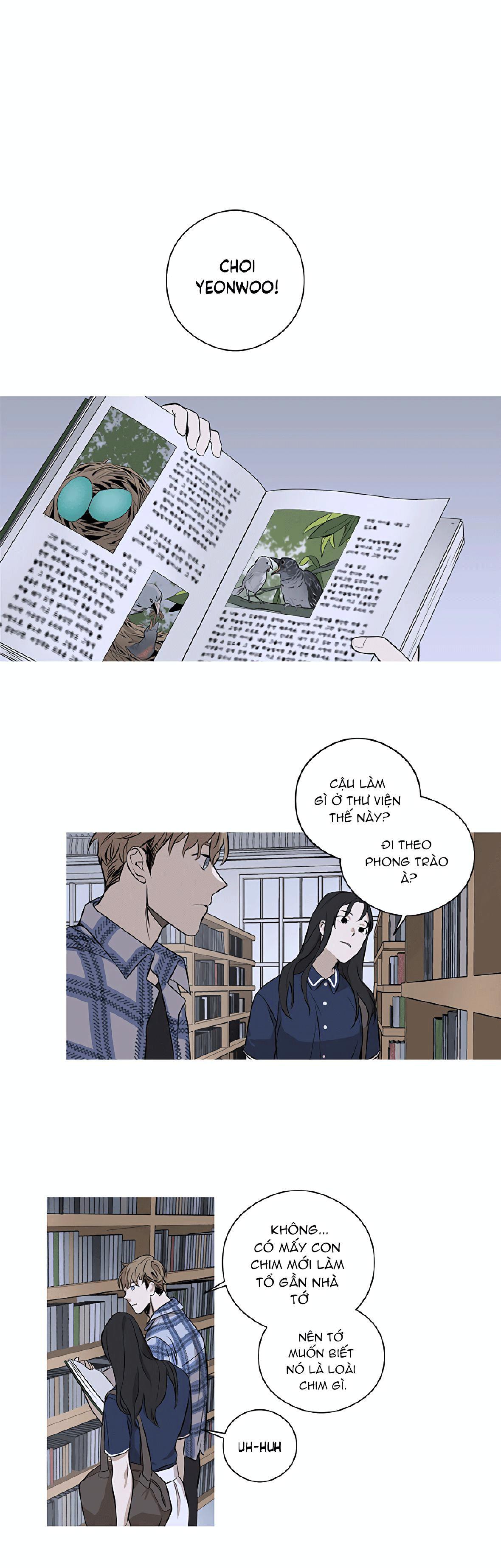 Đọc truyện Đường Chim Bay - Chapter 2