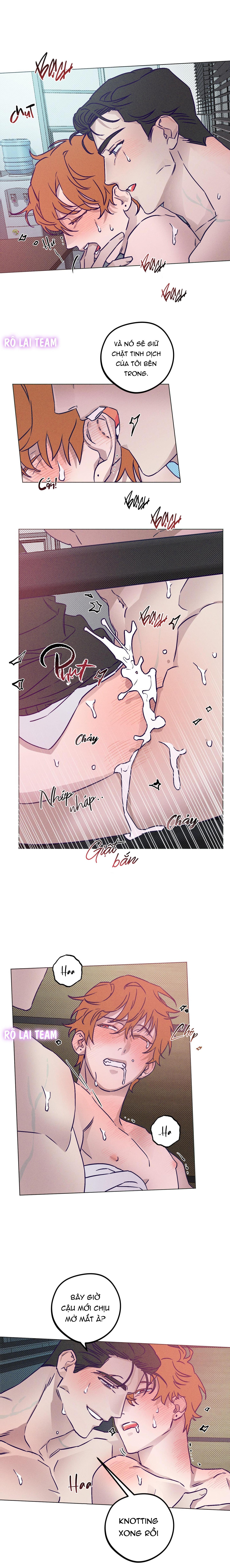 Đọc truyện Bữa sáng trong tù - Chapter 10