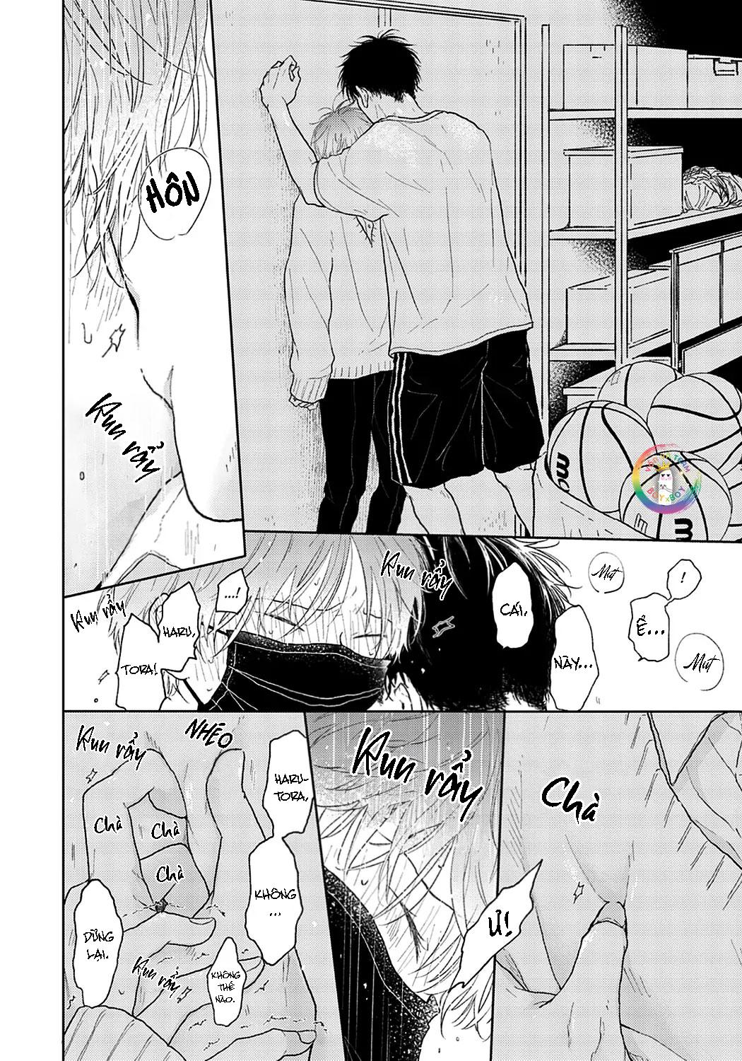 Đọc truyện Đợi Chút Đã, Harutora-kun (END) - Chapter 2