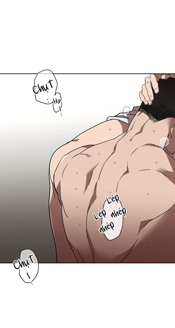 Đọc truyện Không Hơn Không Kém - Chapter 4