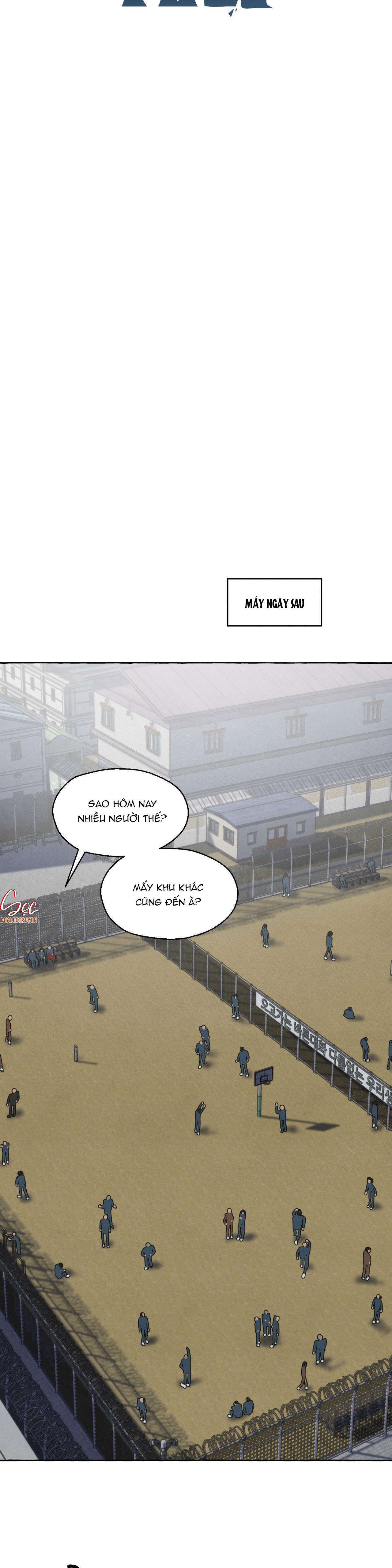 Đọc truyện NHỮNG CON CHÓ TRONG TÙ - Chapter 23