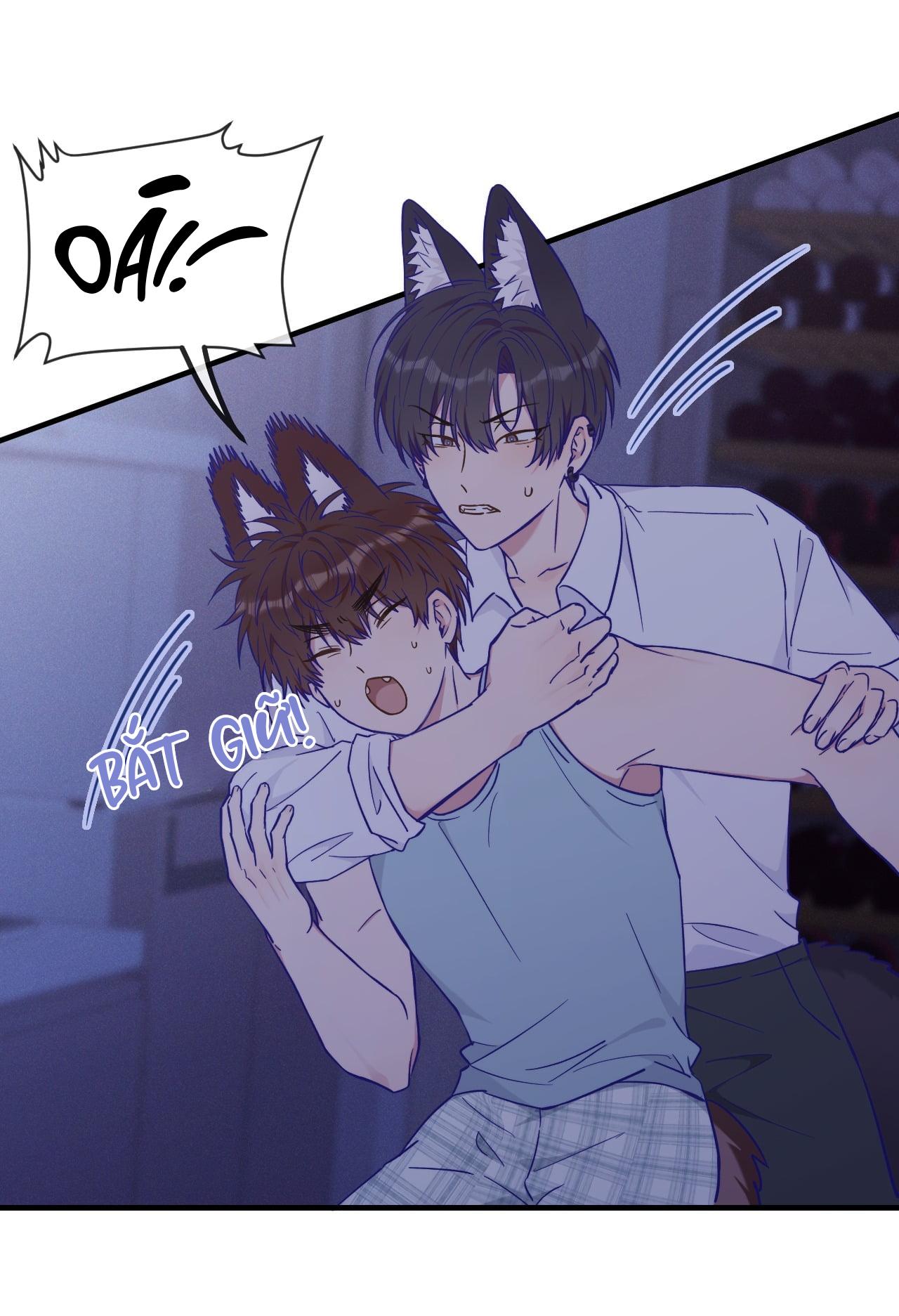 Đọc truyện Cún Con Nói Dối Sẽ Bị Ăn Thịt - Chapter 37