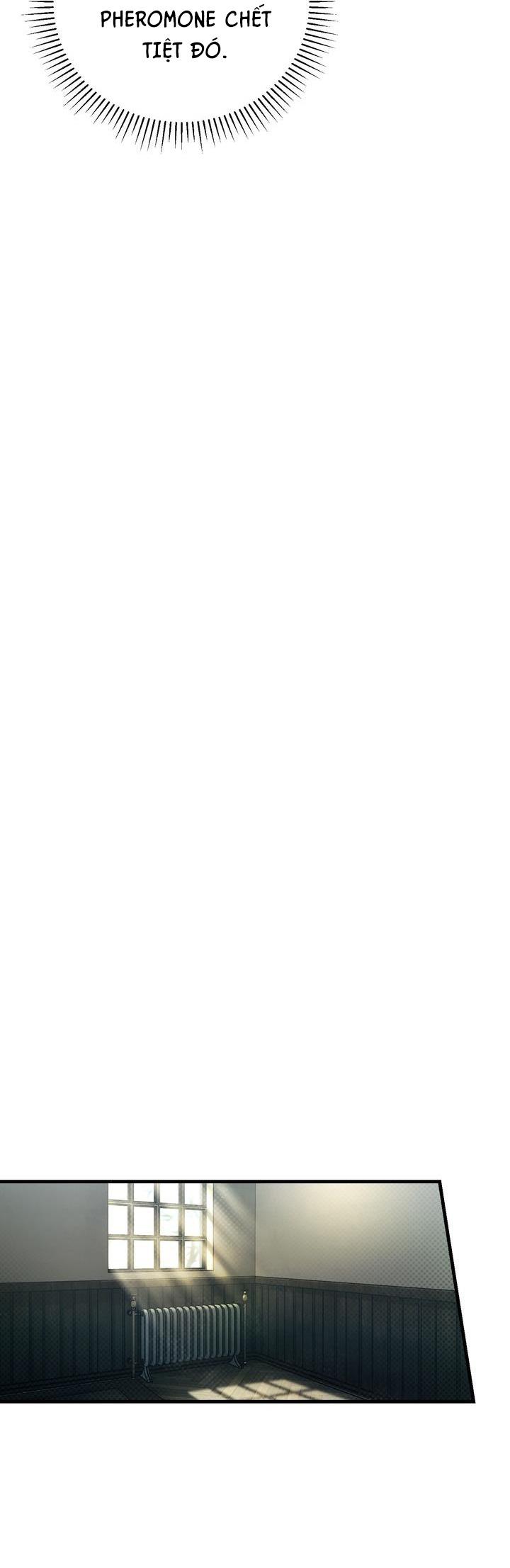 Đọc truyện (ABO) The First Commandment - Chapter 22