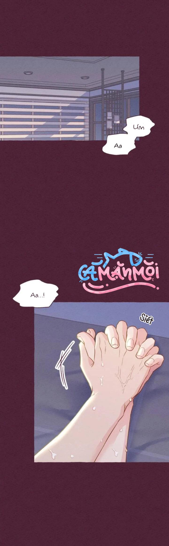 Đọc truyện Dự Báo Thời Tiết Ngày Mai Sẽ Nắng - Chapter 1