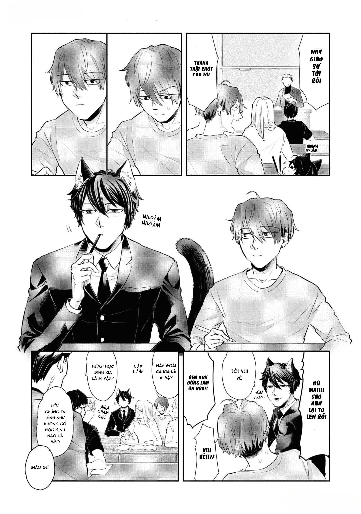 Đọc truyện Chú mèo đẹp trai muốn được Haruta nuôi dưỡng - Chapter 1