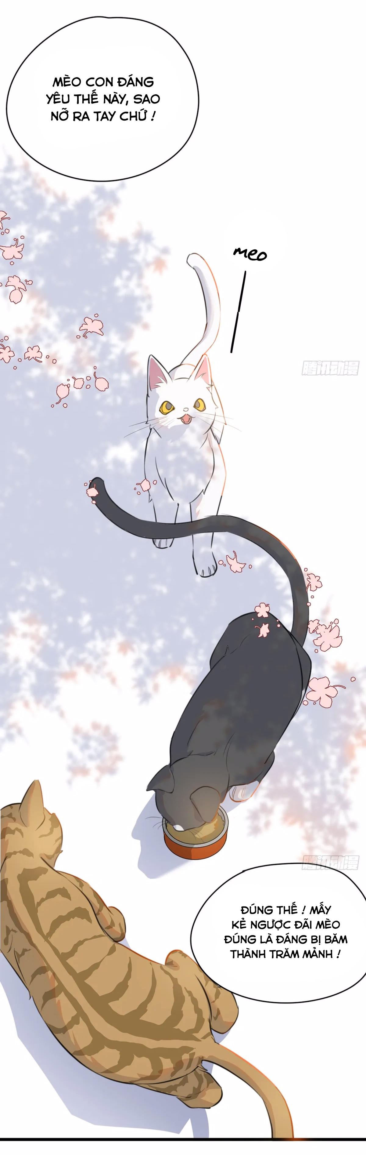 Đọc truyện Tà thần của riêng tôi - Chapter 9.5