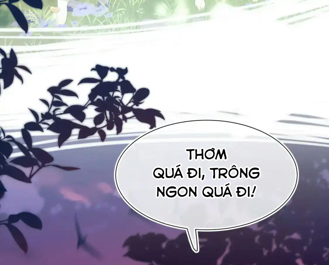 Đọc truyện Ss2 Một ngụm ăn cả thỏ con - Chapter 48