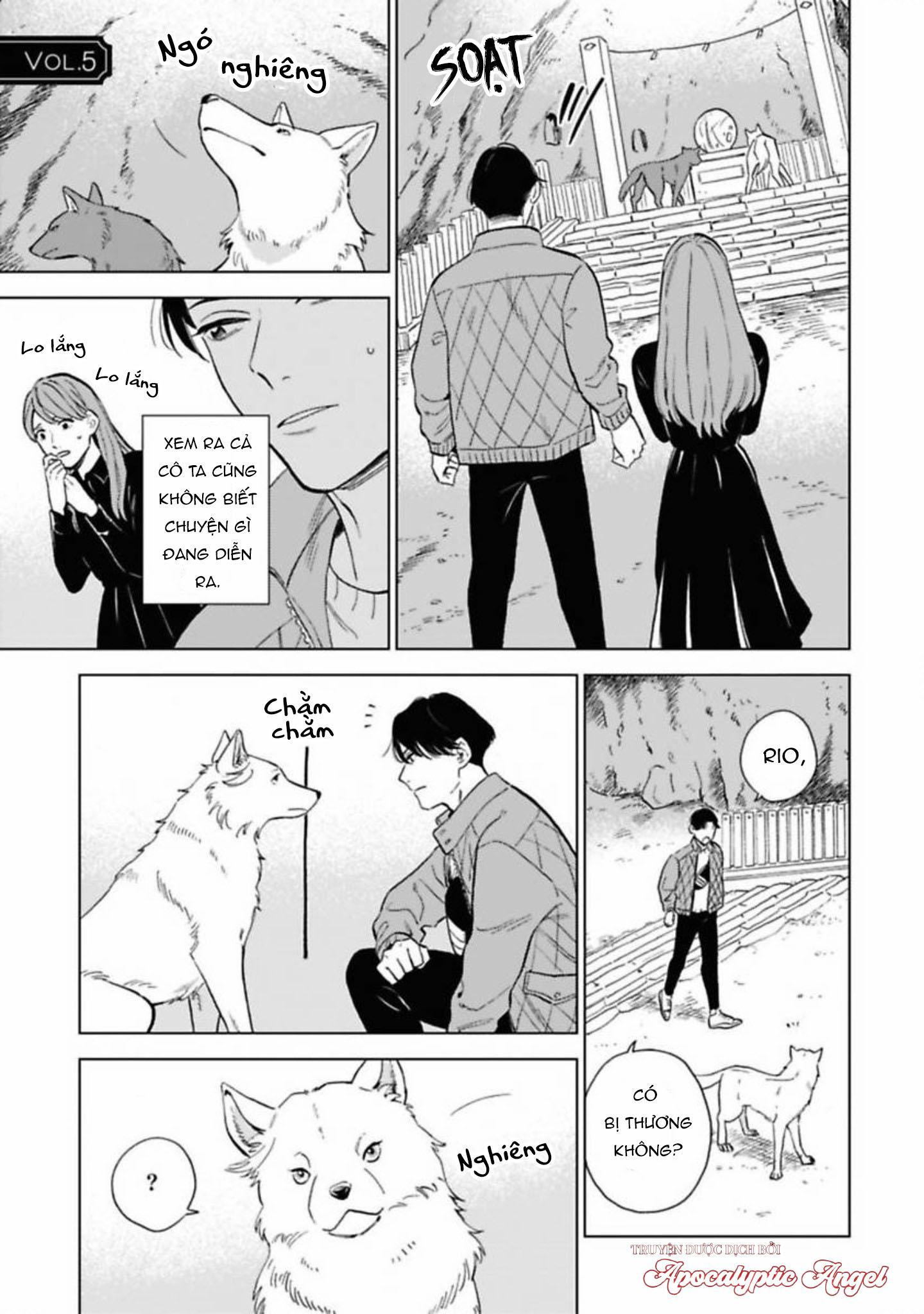 Đọc truyện Lời Tỏ Tình Của Chú Sói - Chapter 5