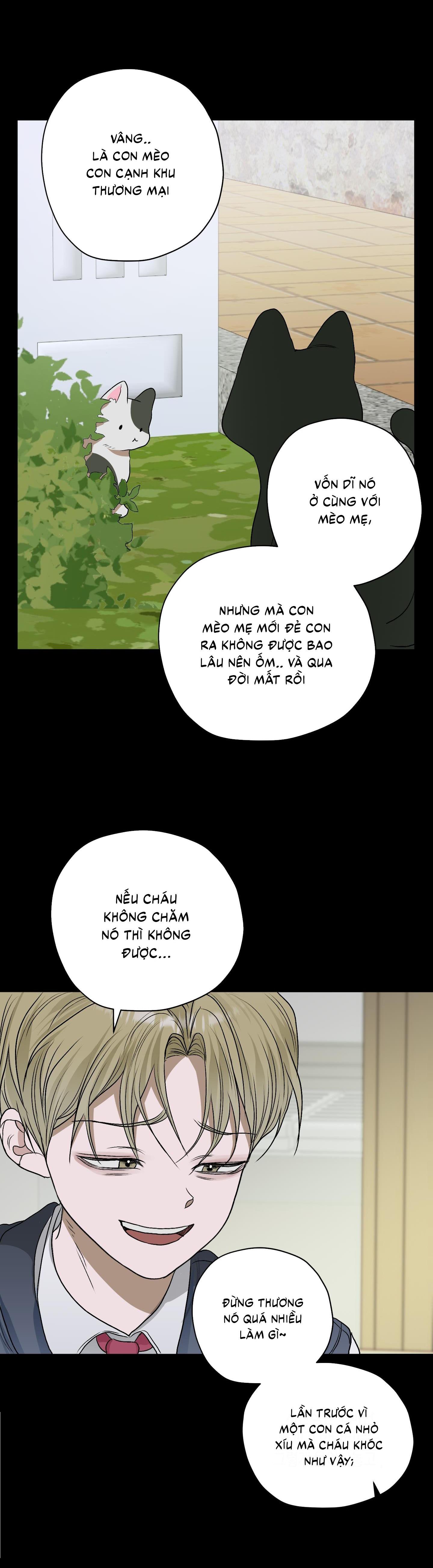 Đọc truyện  Đầm Sen Héo Úa - Chapter 25
