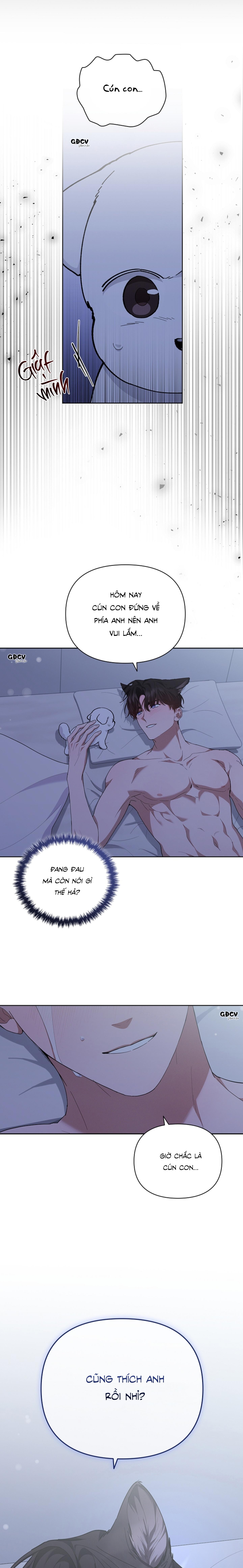 Đọc truyện ĐỪNG CHẠM VÀO CÚN CON CỦA TÔI - Chapter 12