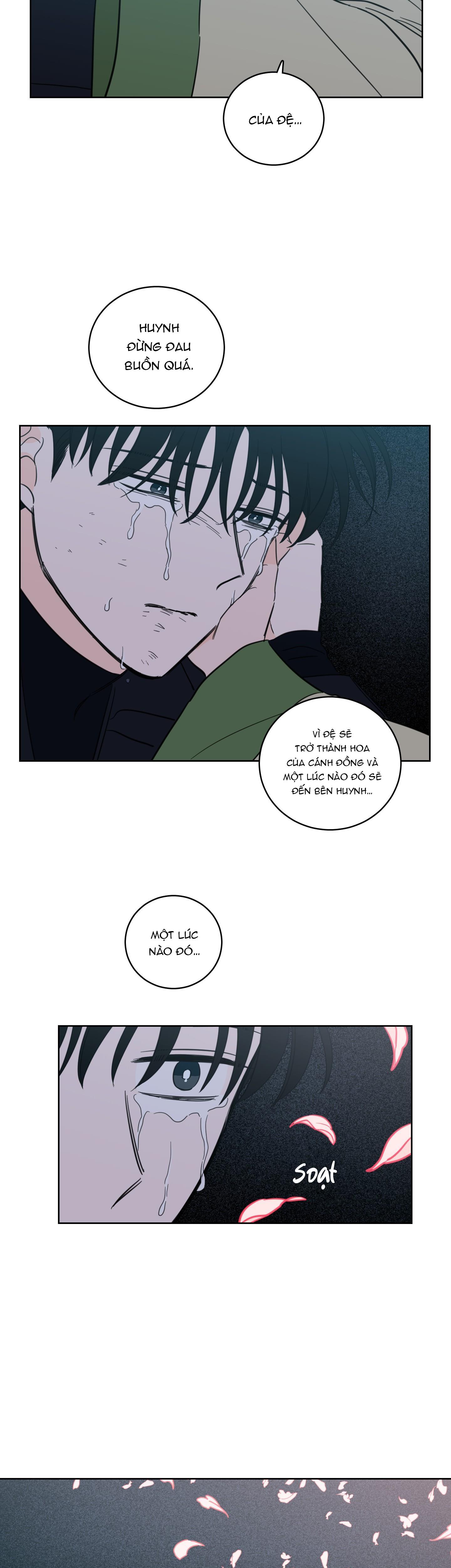 Đọc truyện Mẹo Thuần Hóa Hổ - Chapter 101