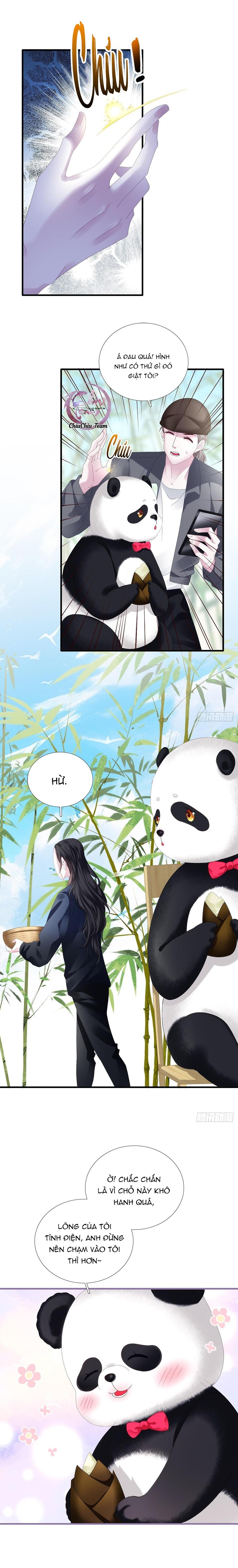 Đọc truyện Thánh Tâm không dễ chọc - Chapter 38