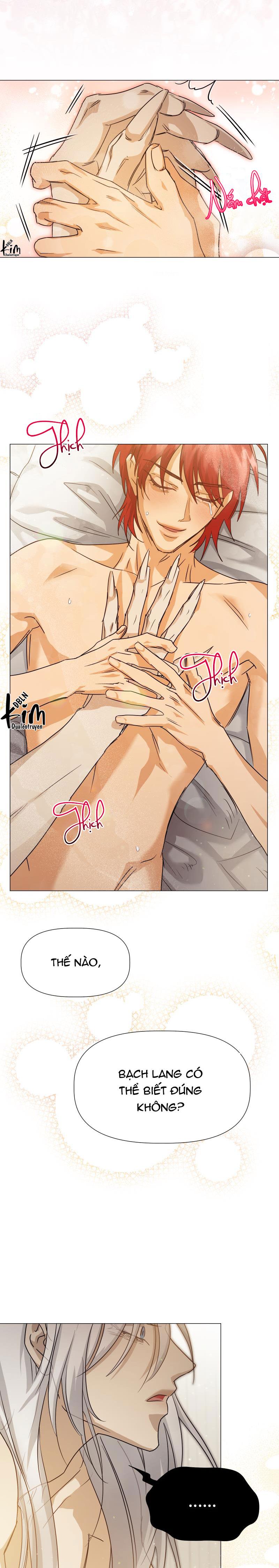 Đọc truyện TẾ PHẨM THẦN NÚI - Chapter 19