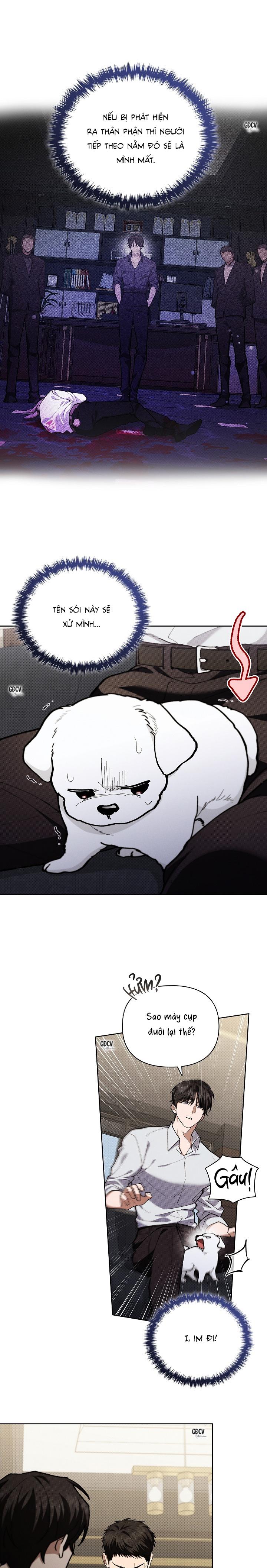 Đọc truyện ĐỪNG CHẠM VÀO CÚN CON CỦA TÔI - Chapter 4