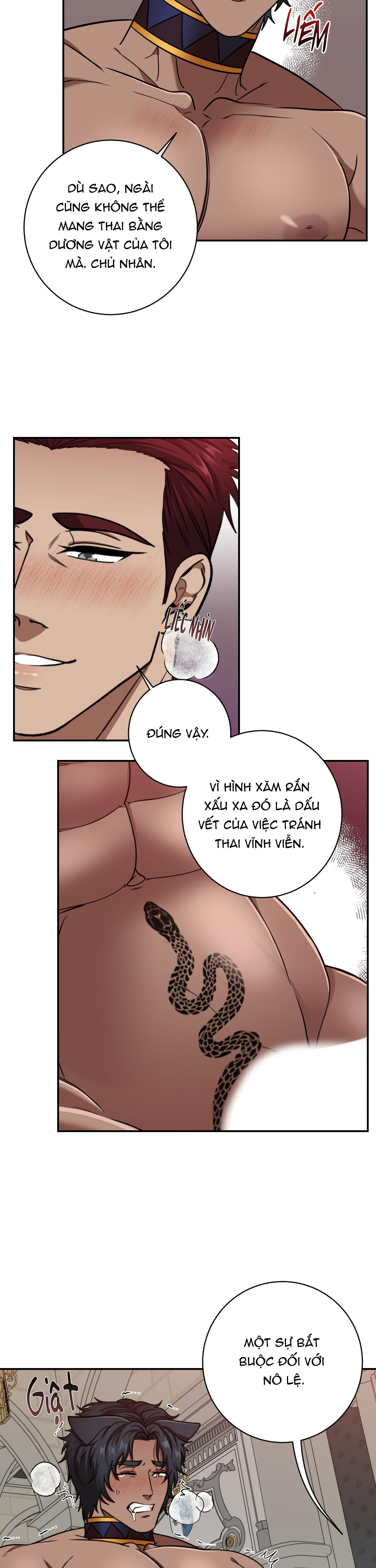 Đọc truyện CÔNG TƯỚC MUỐN CÓ CON NỐI DÕI - Chapter 4