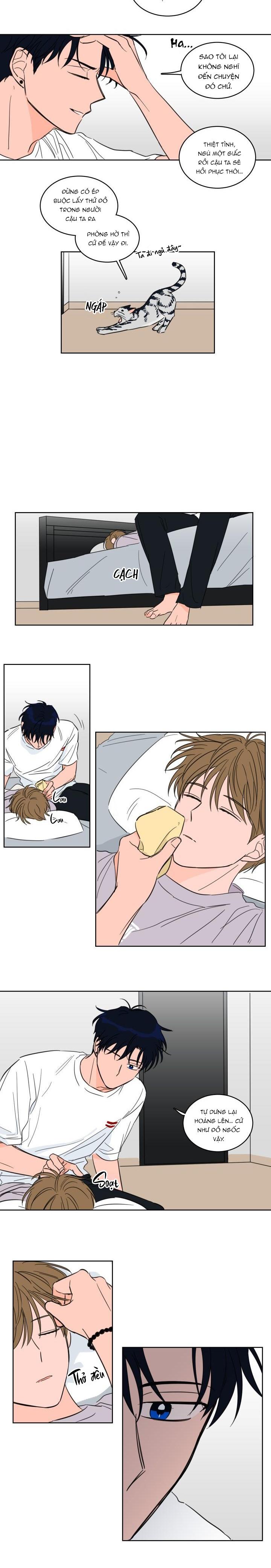 Đọc truyện Mẹo Thuần Hóa Hổ - Chapter 19