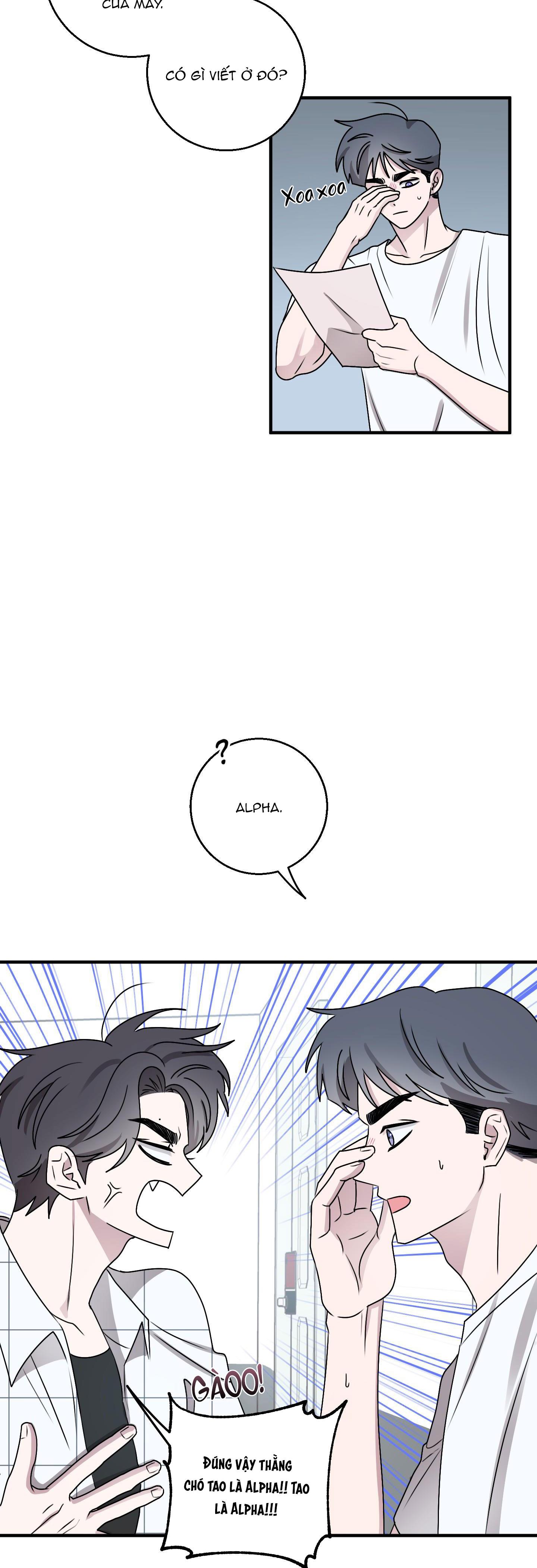 Đọc truyện CHUYỆN TÌNH ALPHA - Chapter 12
