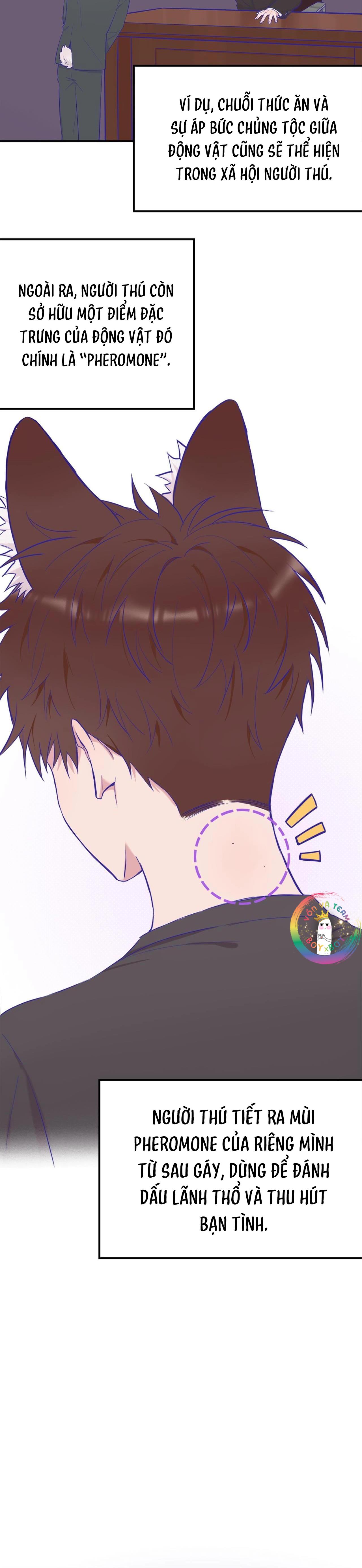 Đọc truyện Cún Con Nói Dối Sẽ Bị Ăn Thịt - Chapter 1