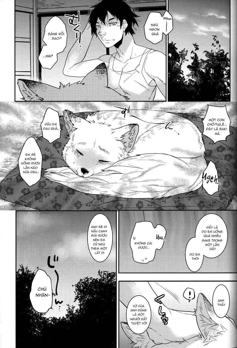 Đọc truyện Oneshot Hỏny Nhà Rô Lai - Chapter 240