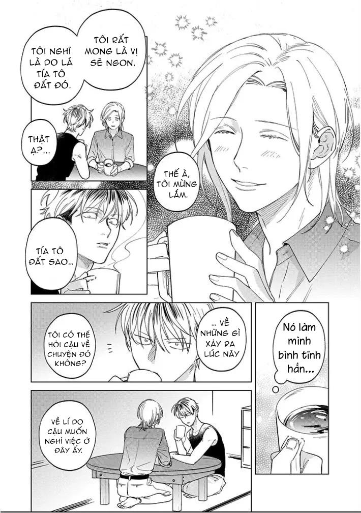 Đọc truyện [DROP] Ong Mật Và Tía Tô Đất - Chapter 11