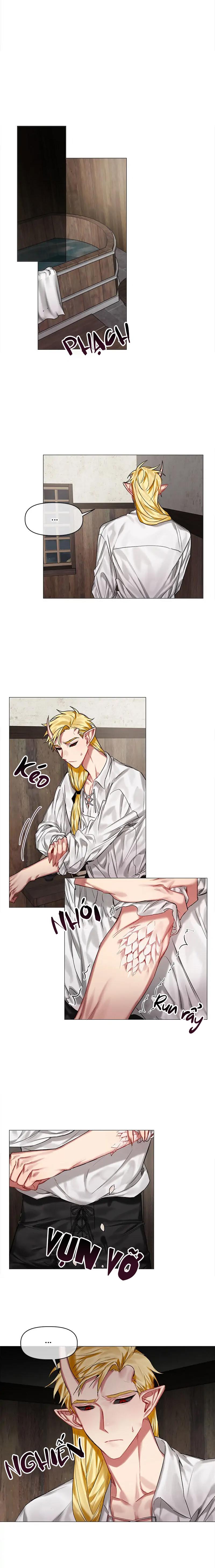 Đọc truyện [Hoàn] Chàng Hiệp Sĩ Và Rồng Vàng - Chapter 15