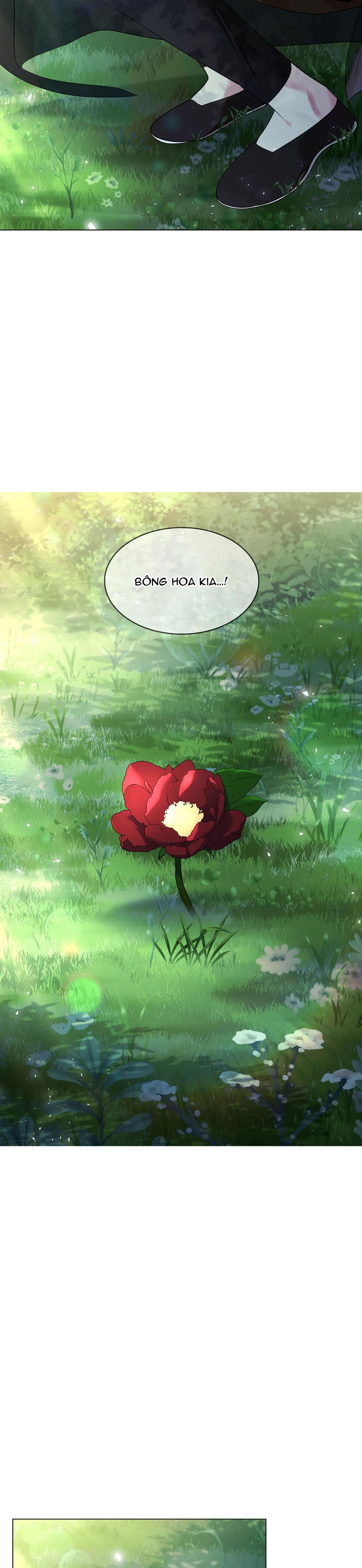 Đọc truyện HOA GIẤY - Chapter 76