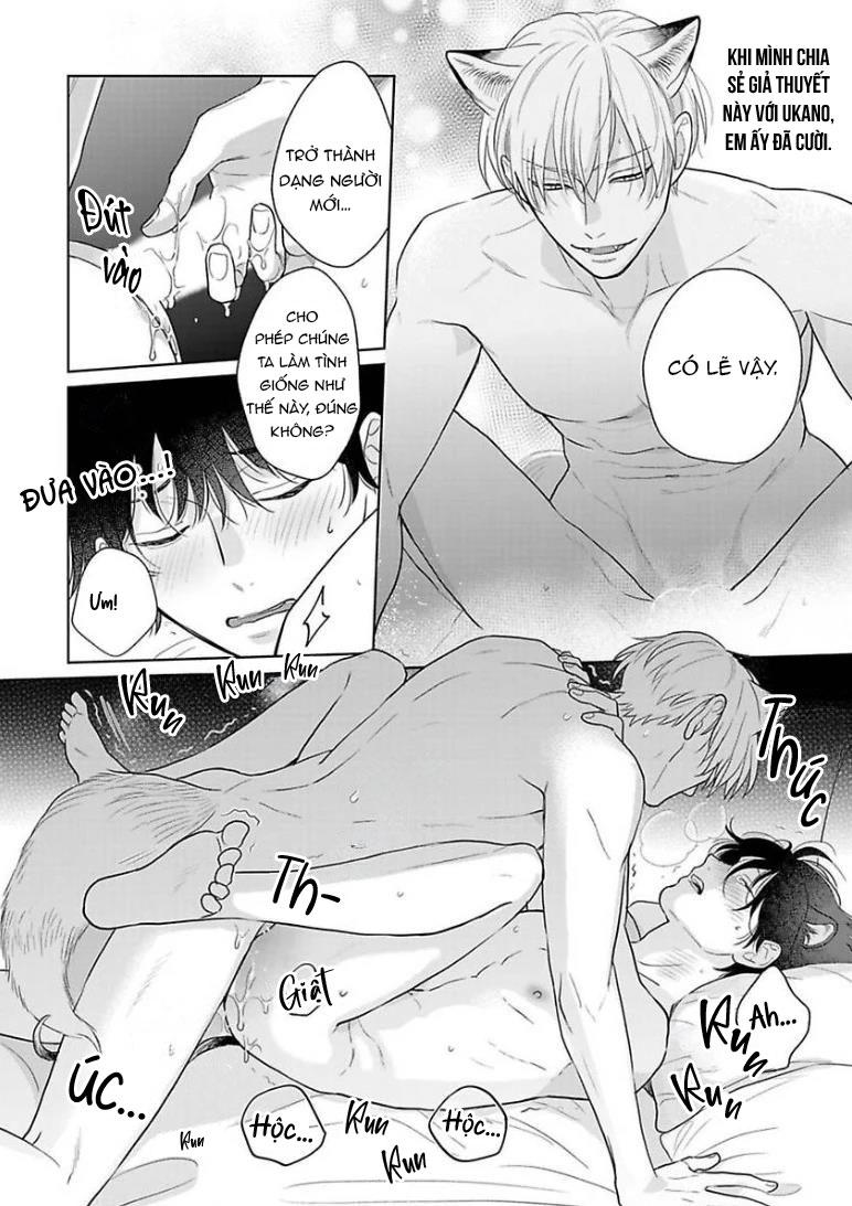 Đọc truyện Cách Khiến Một Omega Trở Nên Ngon Miệng - Chapter 10