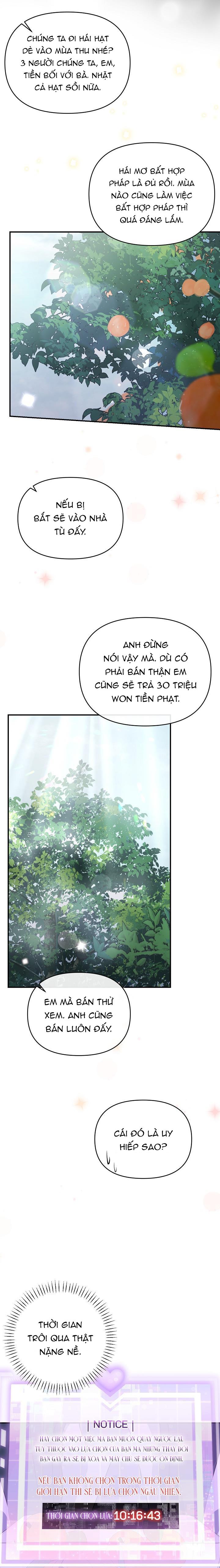 Đọc truyện Khu vực chủ nghĩa tình yêu - Chapter 51