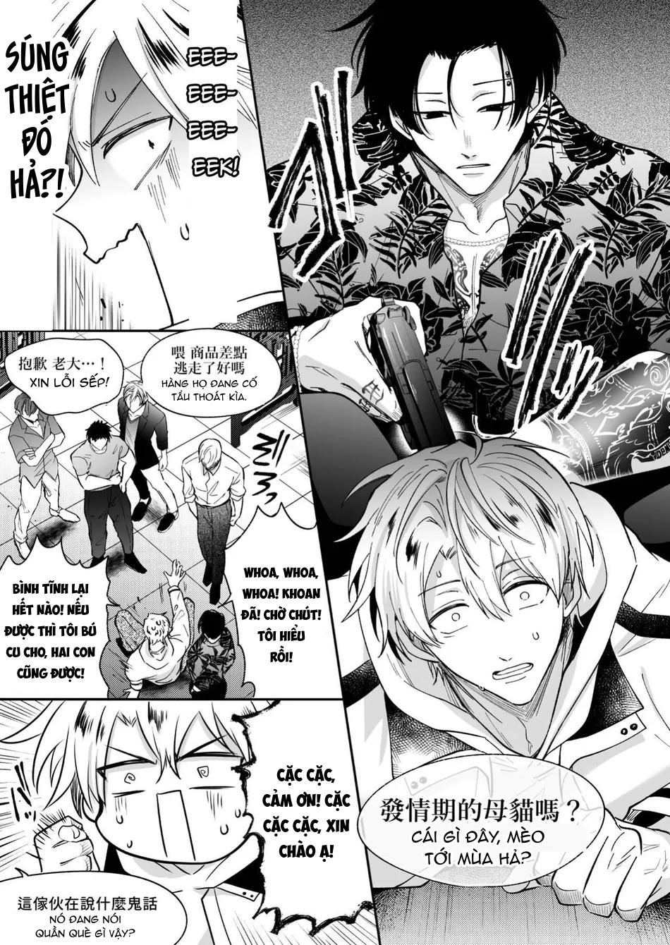 Đọc truyện TUYỂN TẬP BDSM CHỊT CHỌT - Chapter 306.1