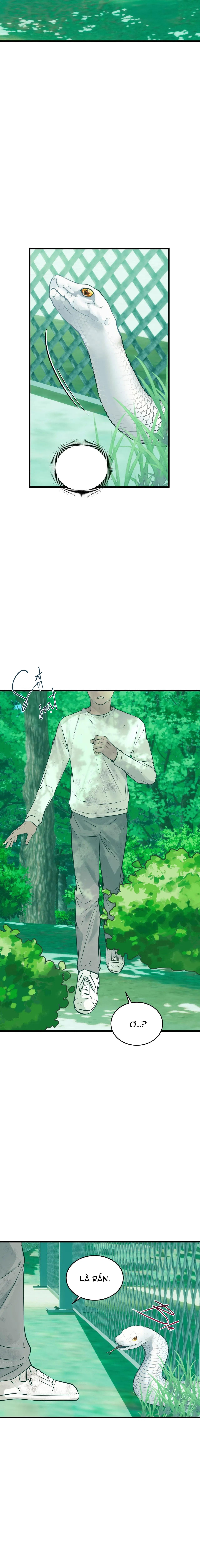Đọc truyện ÂN NHÂN CỦA RẮN - Chapter 22