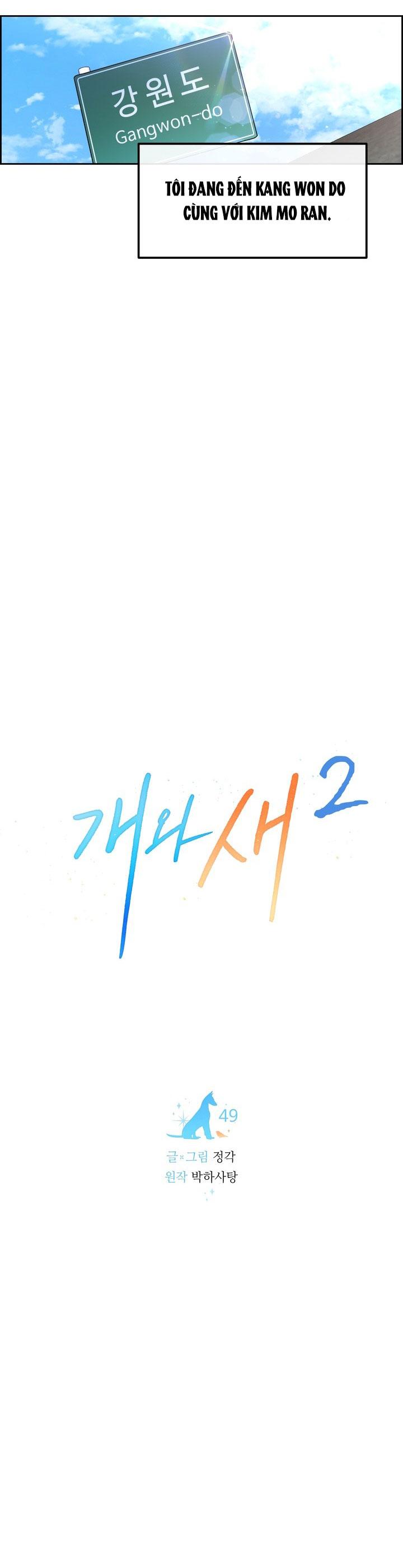 Đọc truyện CHÓ VÀ CHIM - Chapter 49