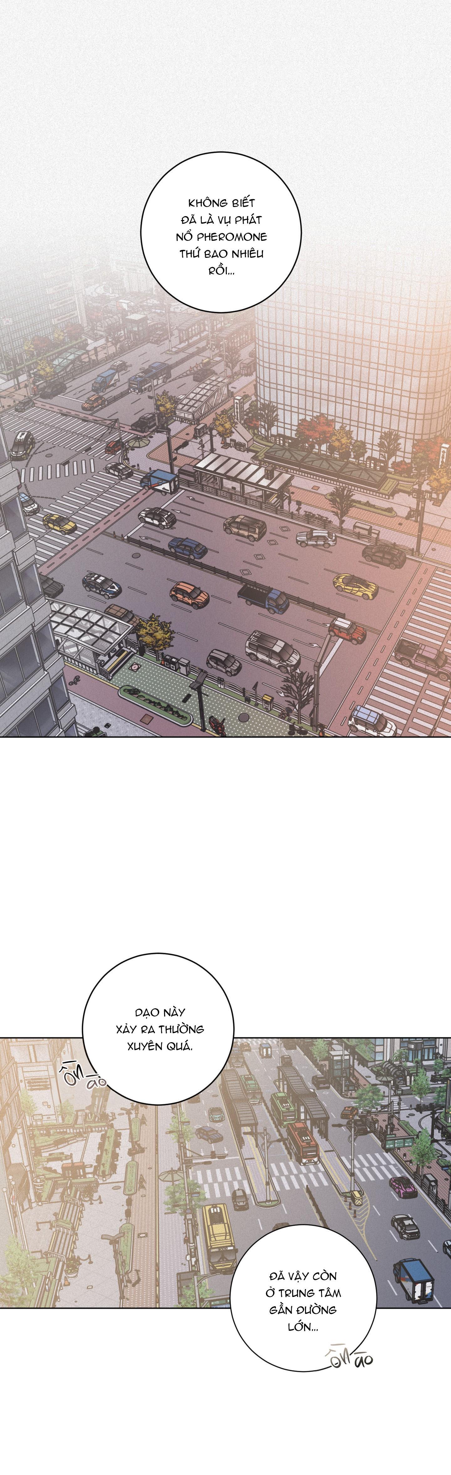 Đọc truyện (ABO) LỜI CẦU NGUYỆN - Chapter 53