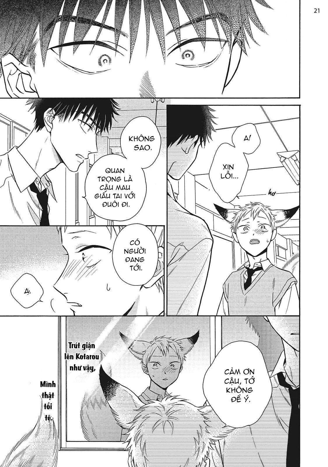 Đọc truyện CẬU CÁO À, ĐỪNG QUYẾN RŨ TÔI NỮA - Chapter 17