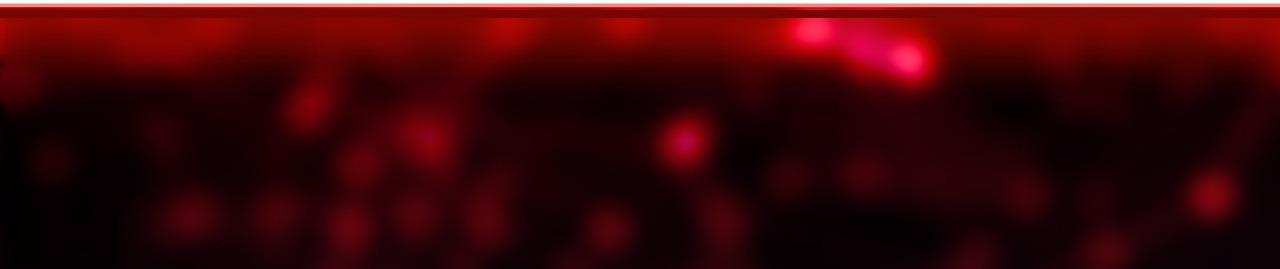 Đọc truyện Người Trong Gương (Drop) - Chapter 14