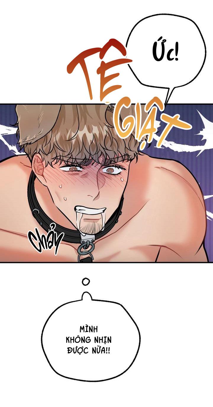 Đọc truyện HƯỚNG DẪN BDSM CƠ BẢN - Chapter 14