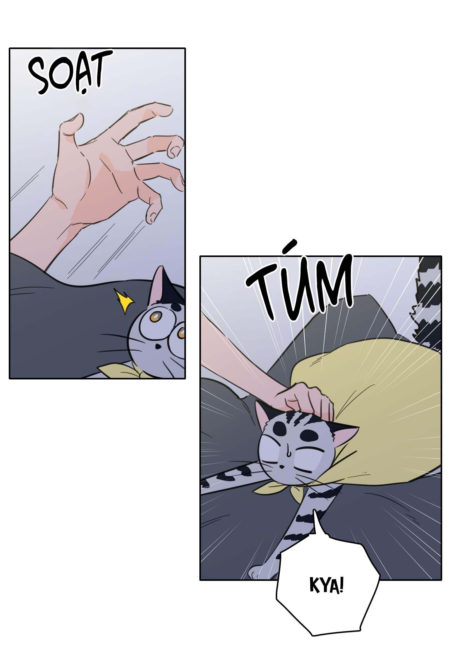 Đọc truyện Mẹo Thuần Hóa Hổ - Chapter 106