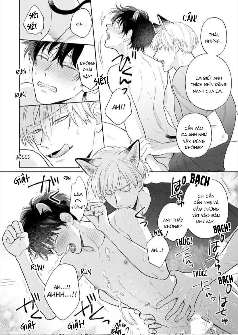 Đọc truyện Cách Khiến Một Omega Trở Nên Ngon Miệng - Chapter 8