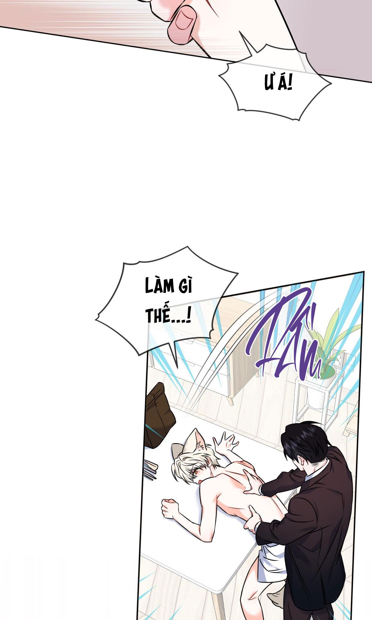 Đọc truyện NƯỚC UỐNG TÌNH YÊU CỦA CÁO PLIN - Chapter 7