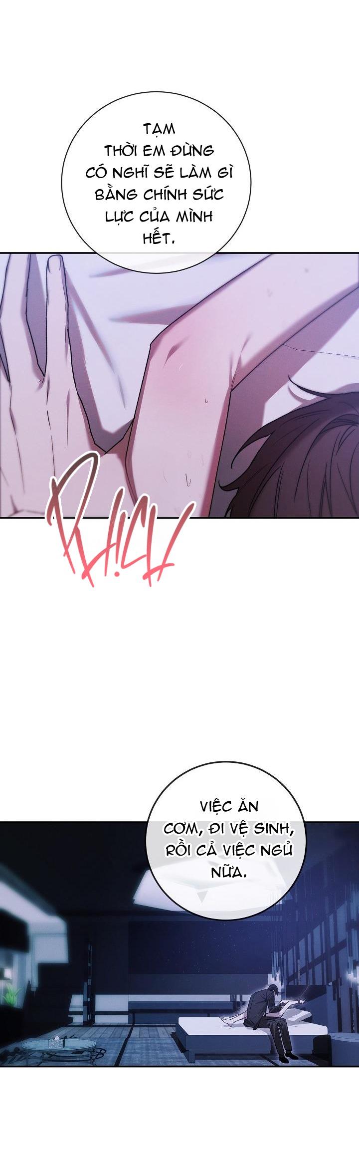 Đọc truyện BẢO VẬT - Chapter 1