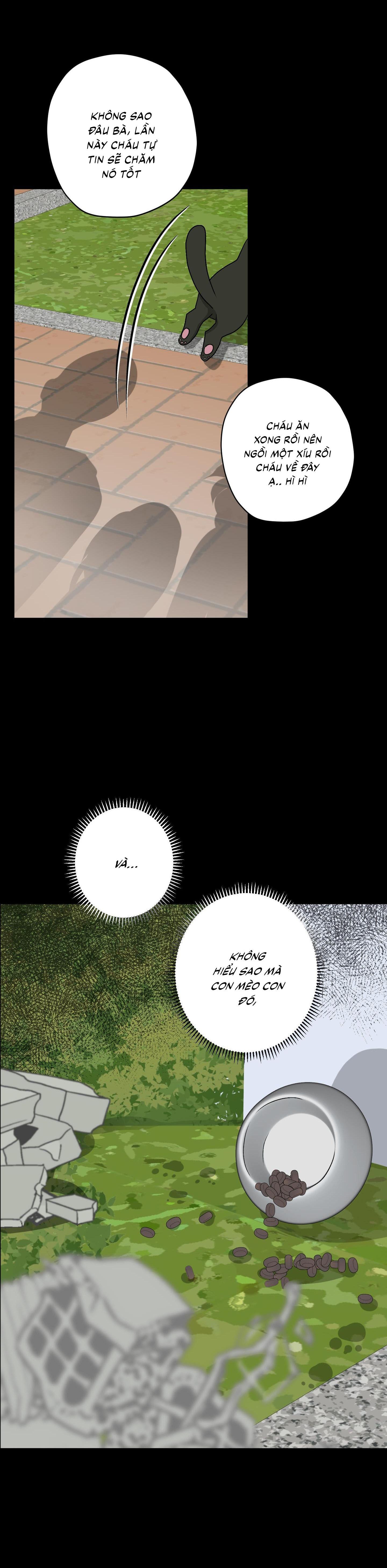 Đọc truyện  Đầm Sen Héo Úa - Chapter 25