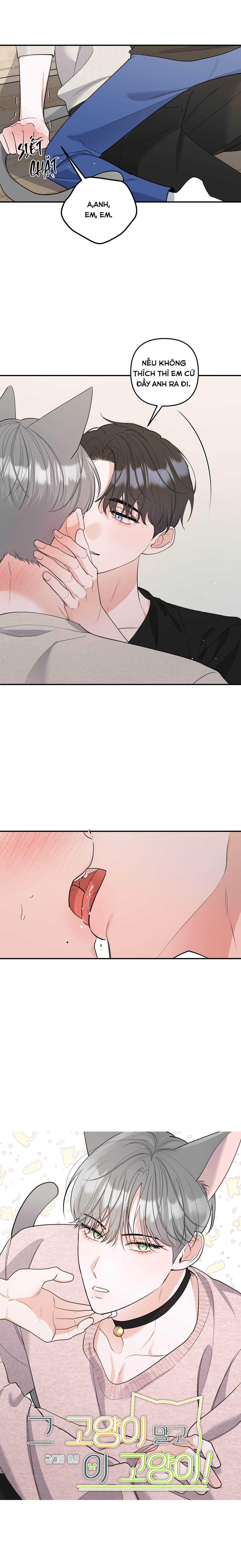 Đọc truyện LIST TRUYỆN NGẮN CHỊT CHỊT - Chapter 71