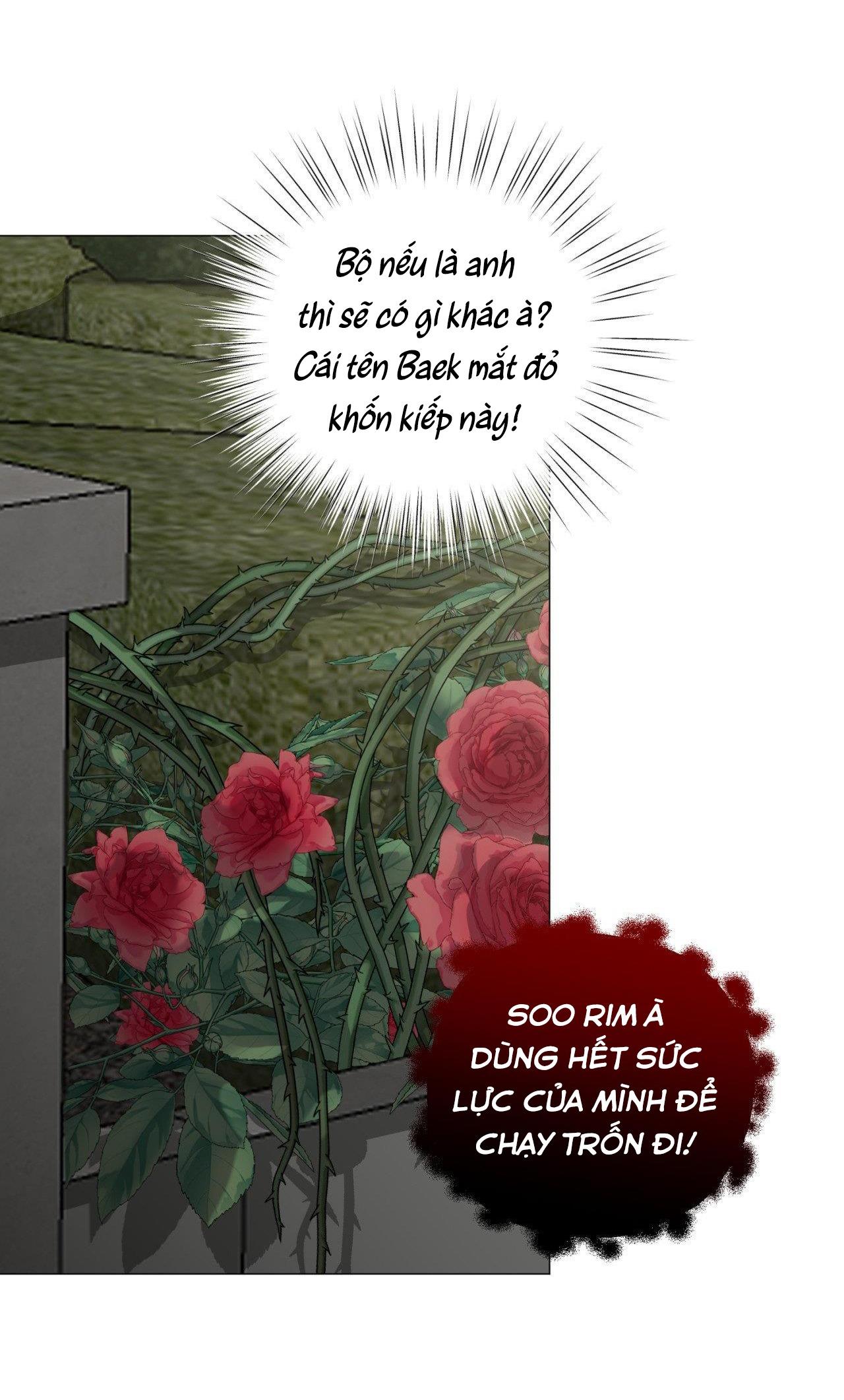 Đọc truyện ẢO TƯỞNG - Chapter 7